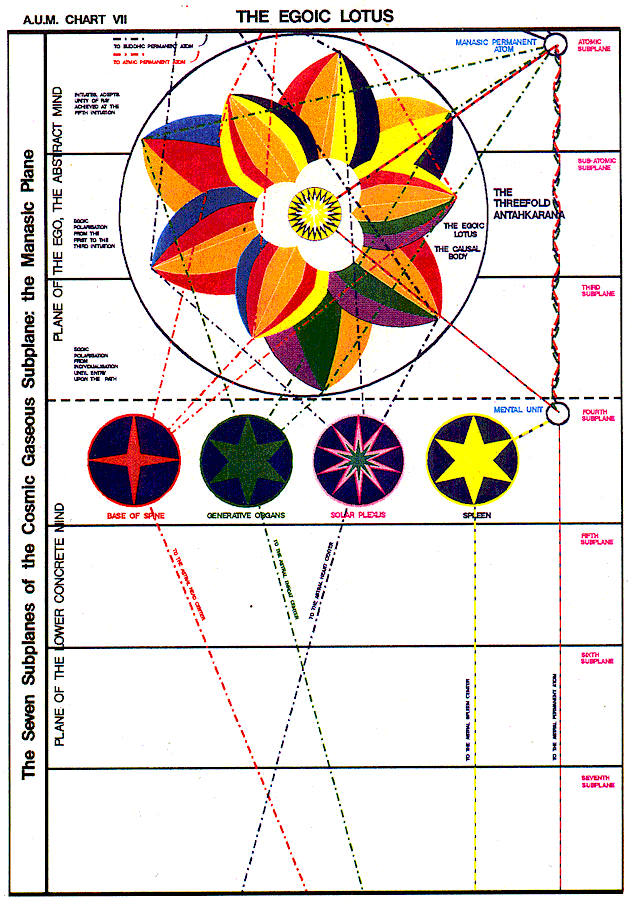 The Egoic Lotus